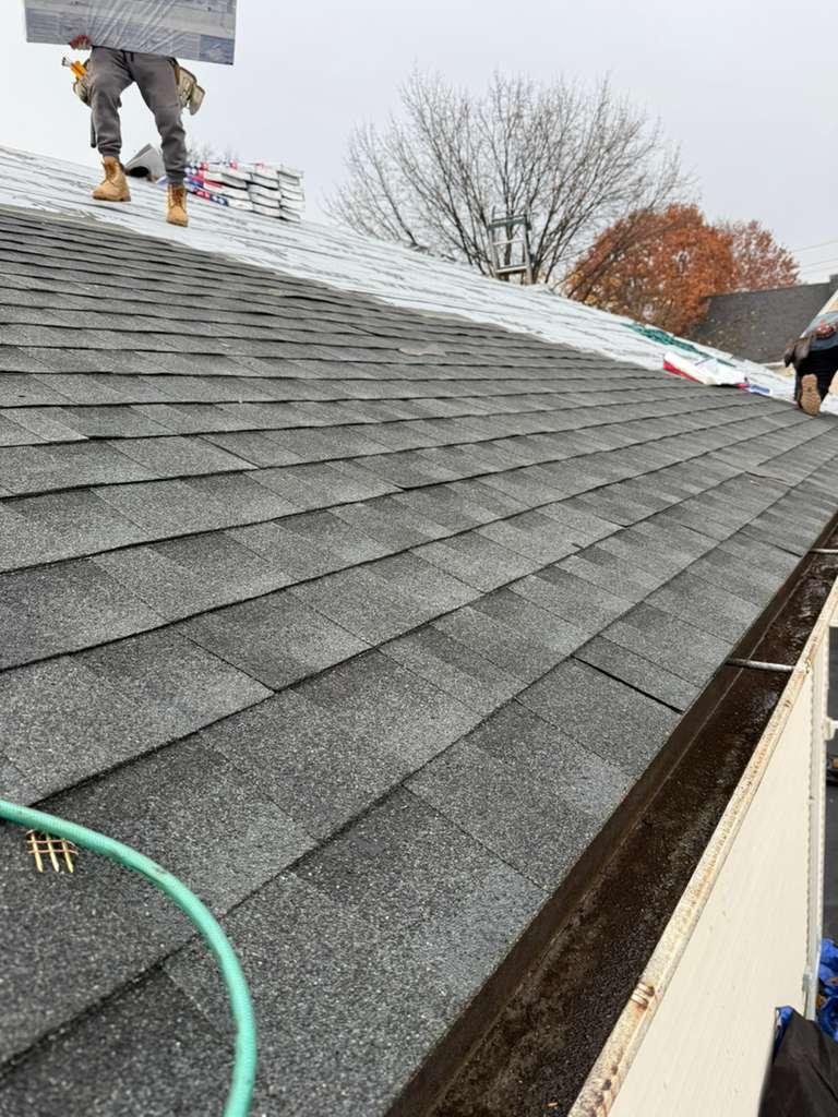 roof1669