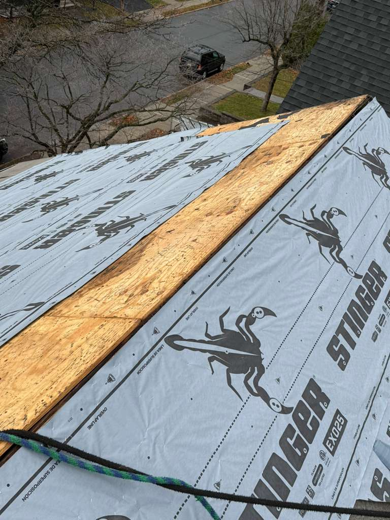 roof8656